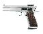 Witness Limited Pro .45 ACP 4.75 Inch Barrel Chrome 10 Round