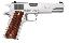 1911 R1 .45ACP 5 Inch Barrel Stainless Steel Finish Double Diamo