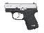 Model CW380 .380ACP 2.58 Inch Barrel Black Polymer Frame Matte S