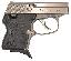 Guardian .32 ACP 3.3 Inch Barrel Length Stainless Steel Finish D