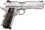 1911 R1 Enhanced .45 ACP 5 Inch Barrel Stainless Steel Enhanced