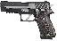 P220 Equinox .45ACP 4.4 Inch Barrel Two-Tone Slide TruGlo Fiber