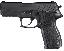 P227 Carry .45ACP 3.9 Inch Barrel Siglite Night Sights Black Nit