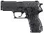 P227 Carry SAS Generation 2 .45ACP 3.9 Inch Barrel Siglite Night