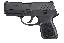 P250 Subcompact .380ACP 3.6 Inch Barrel Siglite Night Sights Bla
