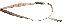 Claw Tactical Rifle Sling Sand Camouflage