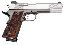 Model SW1911 Pro Series .45 ACP 5 Inch Barrel Stainless Steel Fi